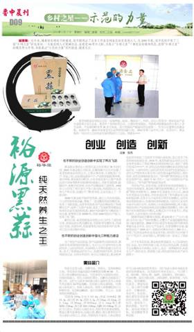 莱芜日报7.9
